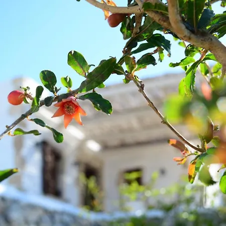 Anemolia * Lakki (Karpathos)
