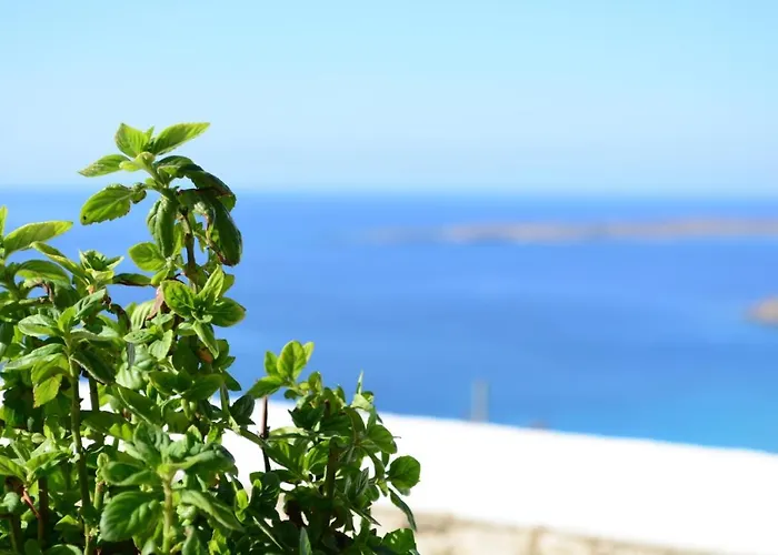 فيلة Anemolia Lakki (Karpathos)