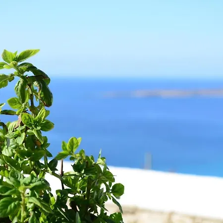 Willa Anemolia Lakki (Karpathos)