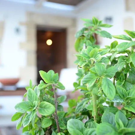 Villa Anemolia *