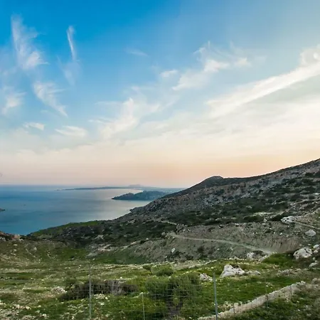 فيلة Anemolia