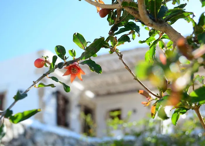 Anemolia * Lakki (Karpathos)